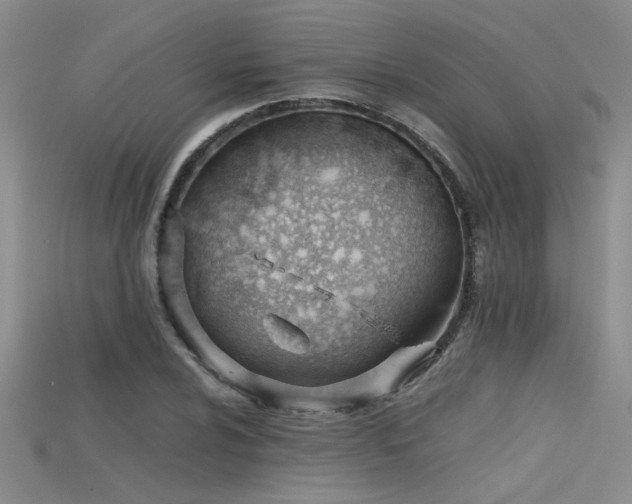 X0000115681024200911121241