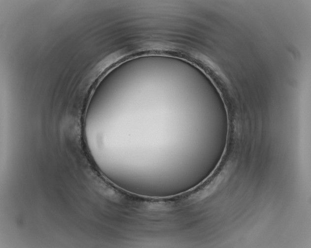 X0000115681025200911121241