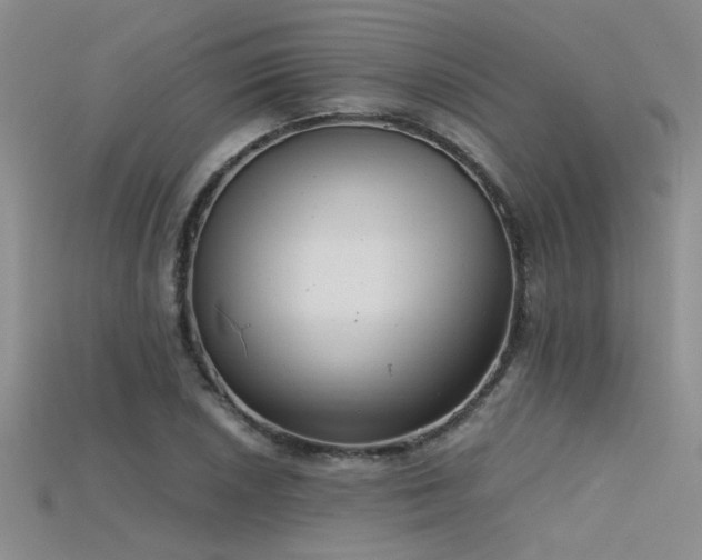 X0000115681026200911121241