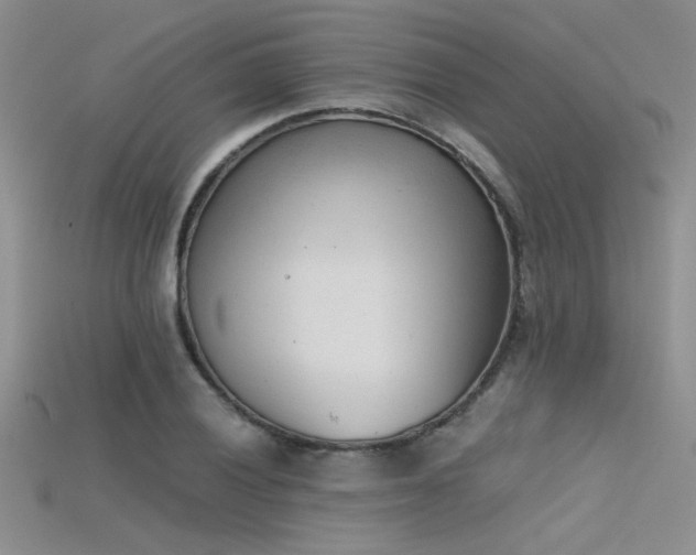 X0000115681028200911121241