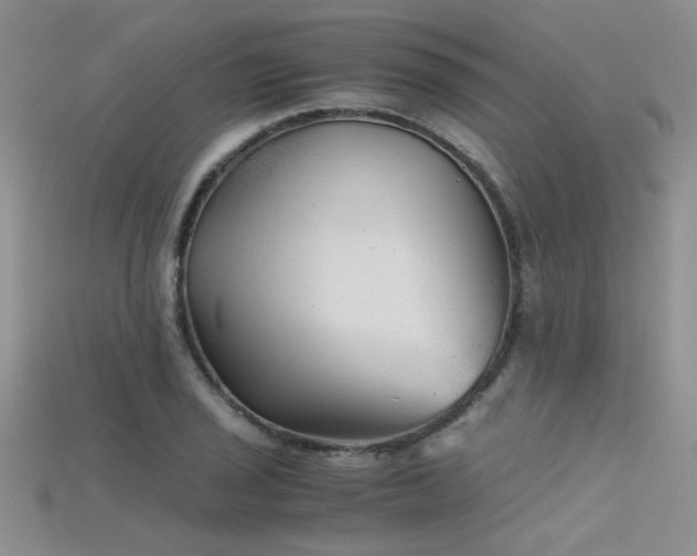 X0000115681029200911121241