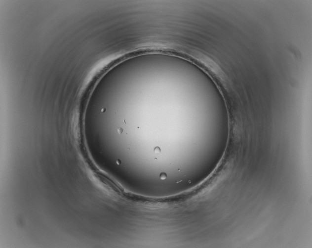 X0000115681030200911121241