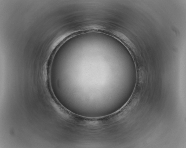 X0000115681031200911121241