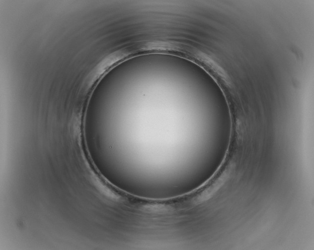 X0000115681033200911121241