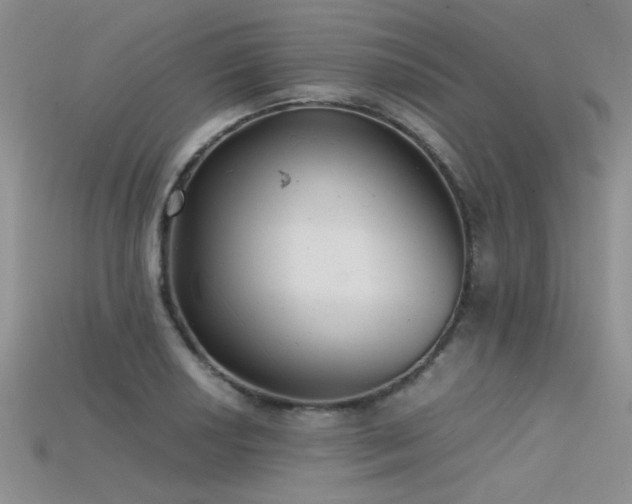 X0000115681034200911121242