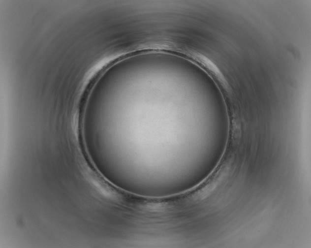 X0000115681035200911121242