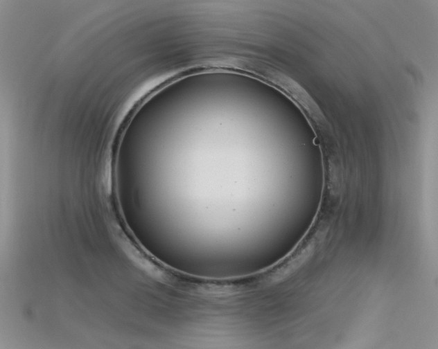 X0000115681036200911121242