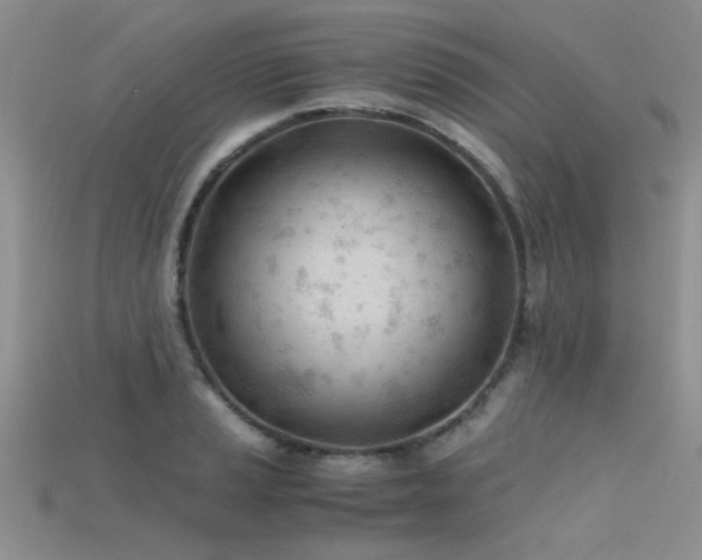 X0000115681037200911121242