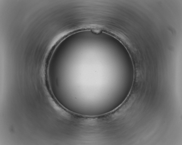 X0000115681038200911121242