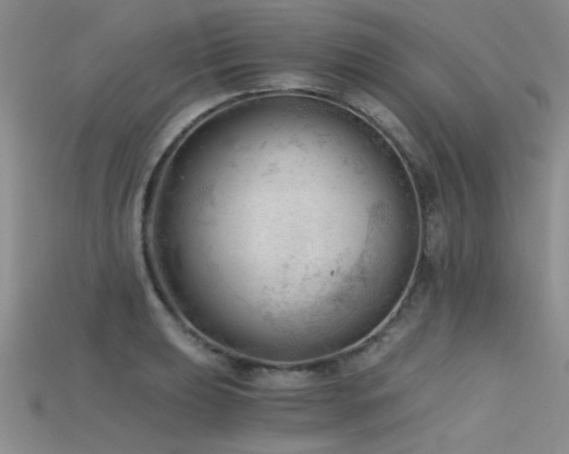 X0000115681039200911121242