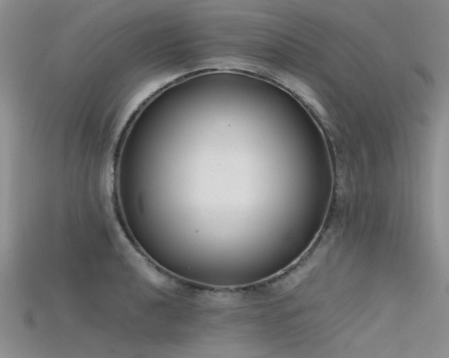 X0000115681040200911121242