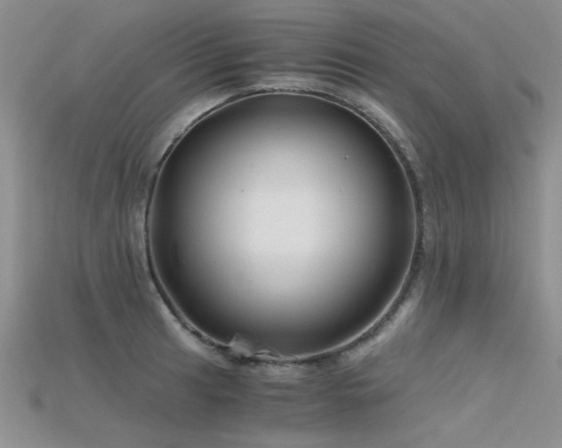 X0000115681041200911121242