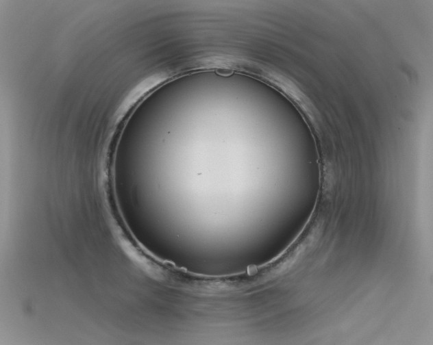 X0000115681042200911121242