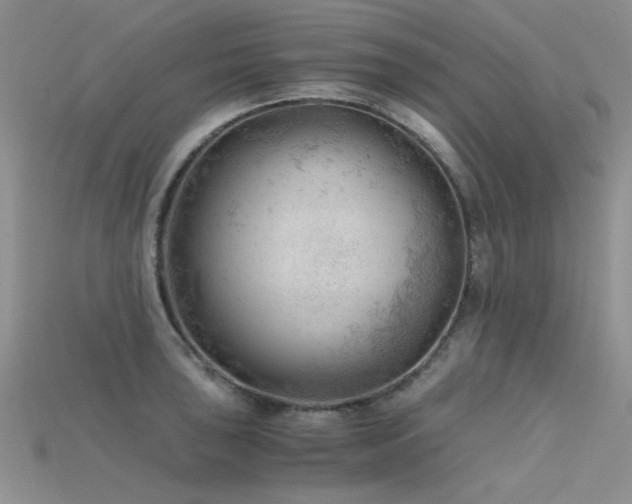 X0000115681043200911121242