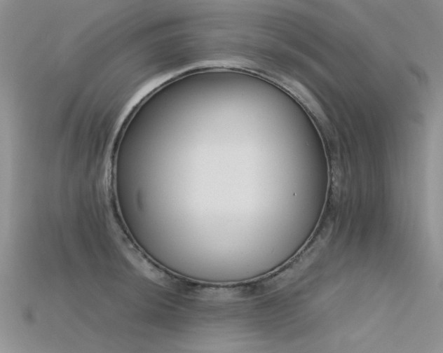 X0000115681044200911121242