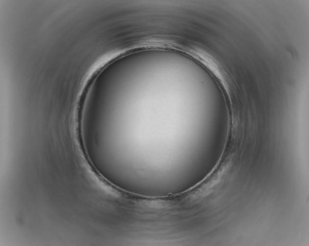 X0000115681045200911121242