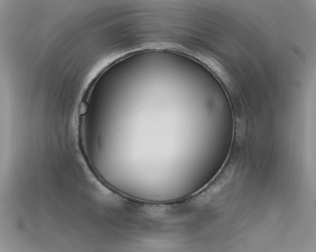 X0000115681046200911121242