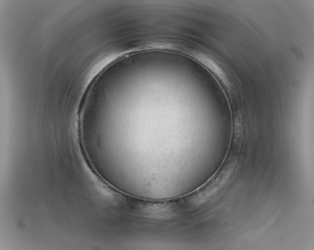 X0000115681047200911121242