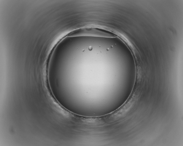 X0000115681048200911121242