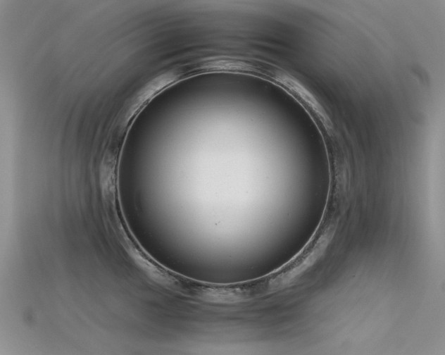 X0000115681049200911121242