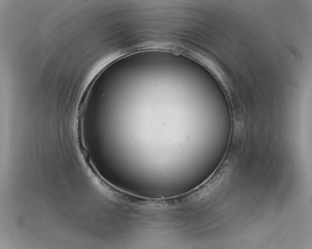 X0000115681050200911121242