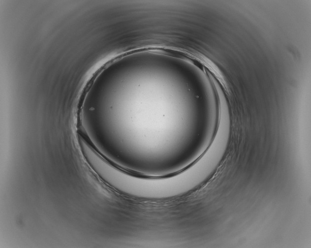 X0000115681051200911121242