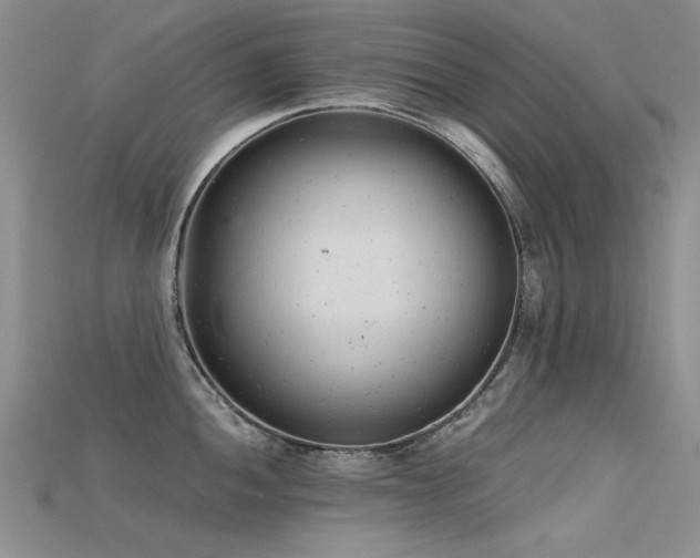 X0000115681052200911121242