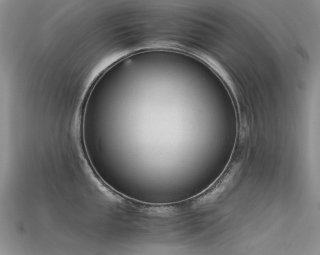 X0000115681053200911121242