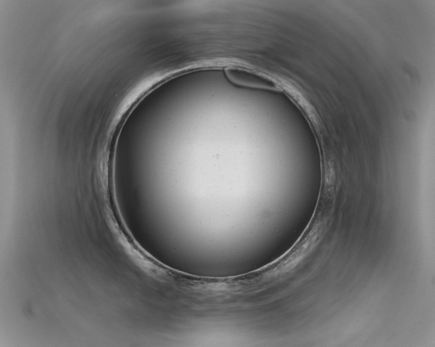 X0000115681054200911121242