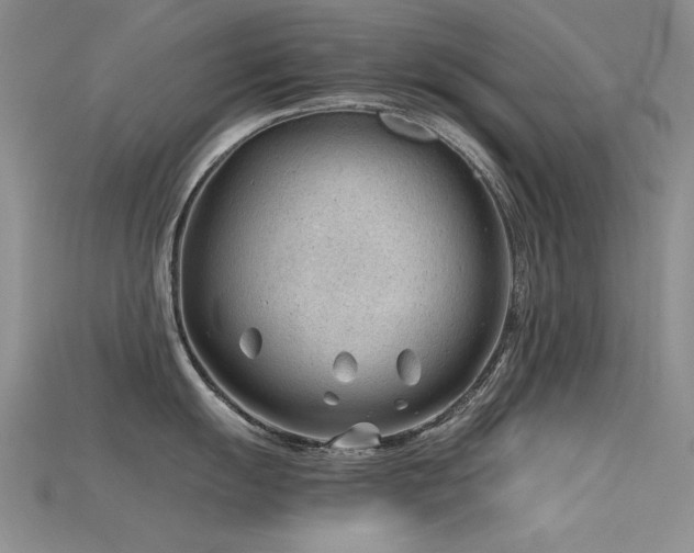 X0000115681055200911121242