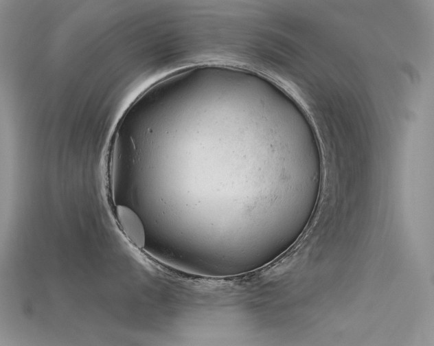 X0000115681056200911121242