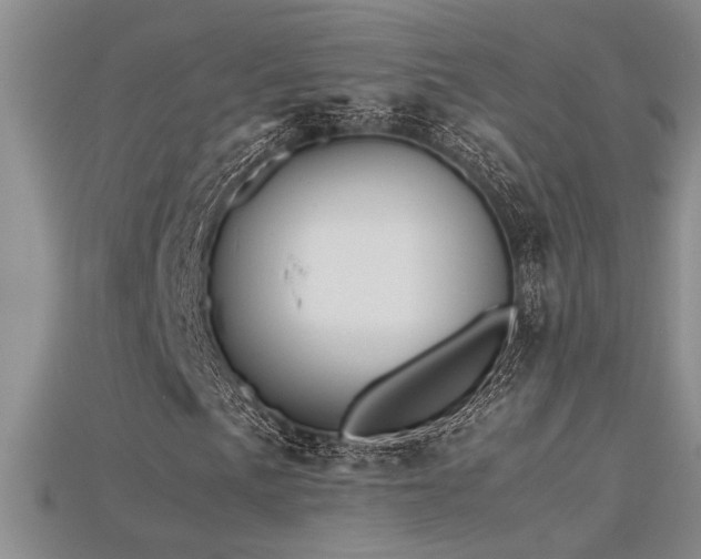 X0000115681057200911121241