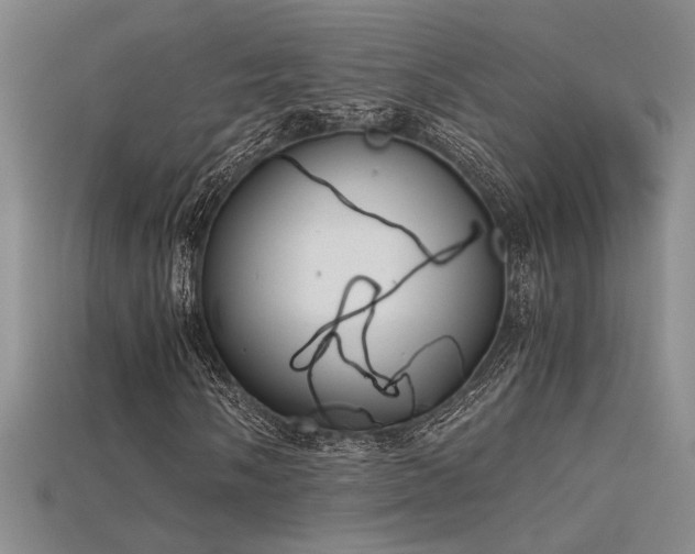 X0000115681058200911121241