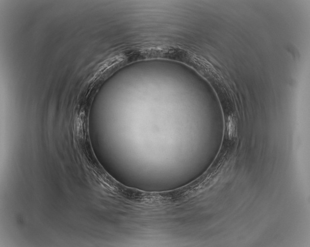 X0000115681059200911121241