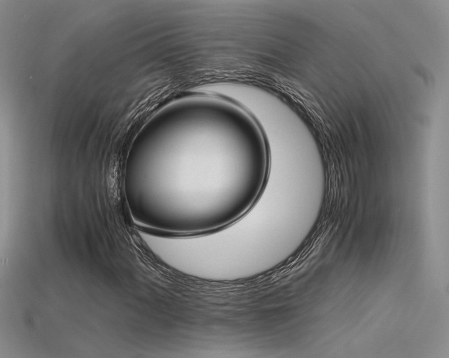 X0000115681060200911121241