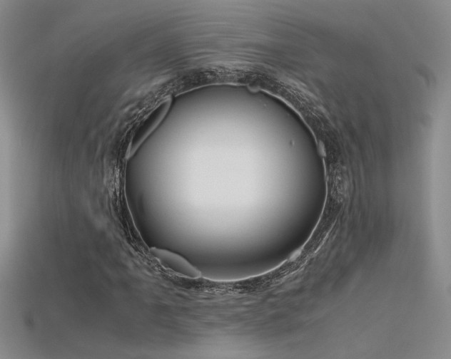 X0000115681061200911121241