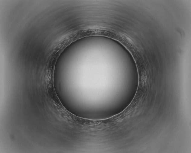 X0000115681062200911121241