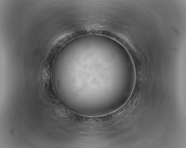 X0000115681063200911121241