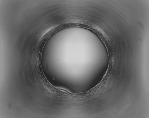 X0000115681064200911121241