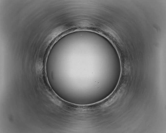 X0000115681065200911121241