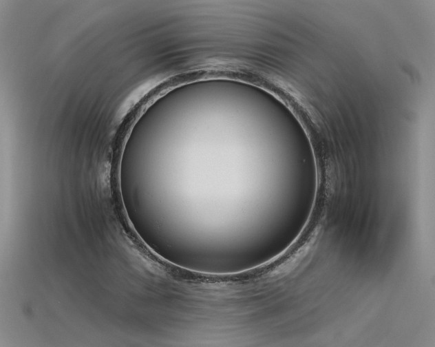 X0000115681066200911121241