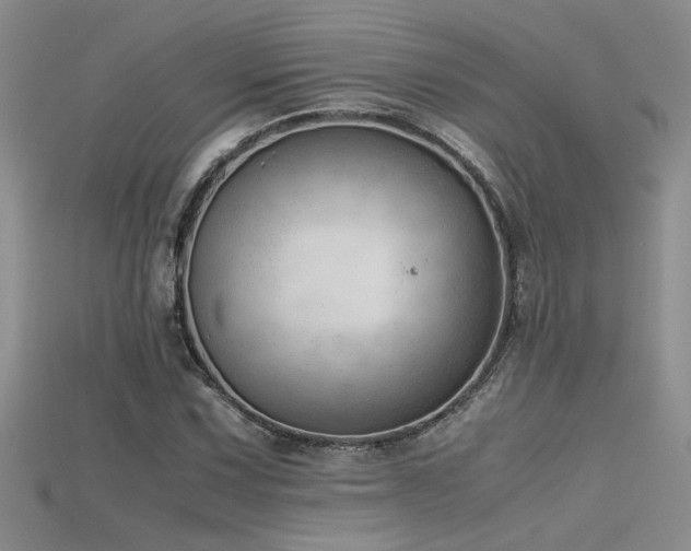 X0000115681067200911121241