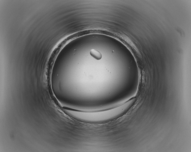 X0000115681068200911121241