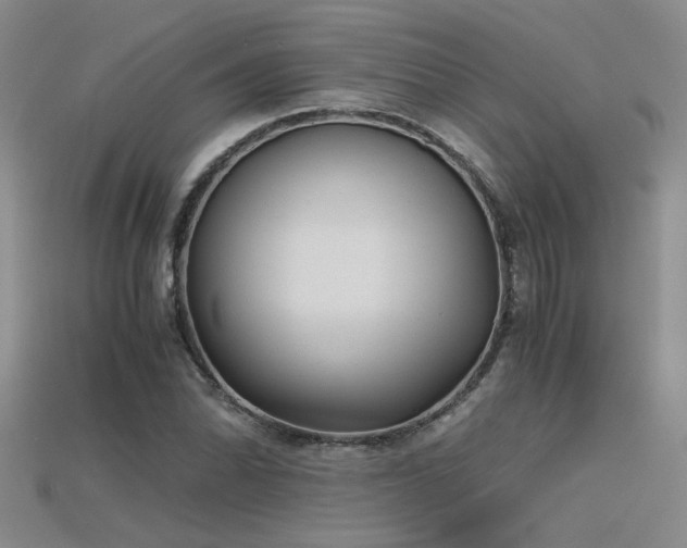 X0000115681070200911121241