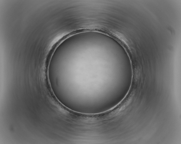 X0000115681071200911121241