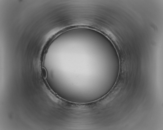 X0000115681072200911121241