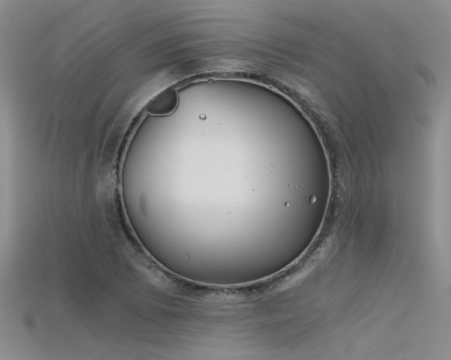 X0000115681073200911121241