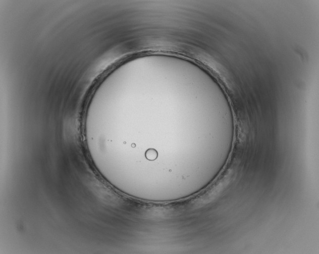 X0000115681074200911121241