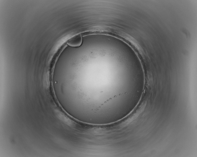 X0000115681075200911121241