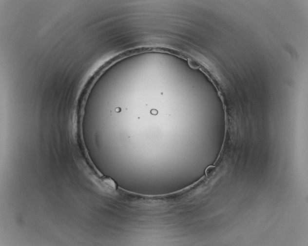 X0000115681076200911121241